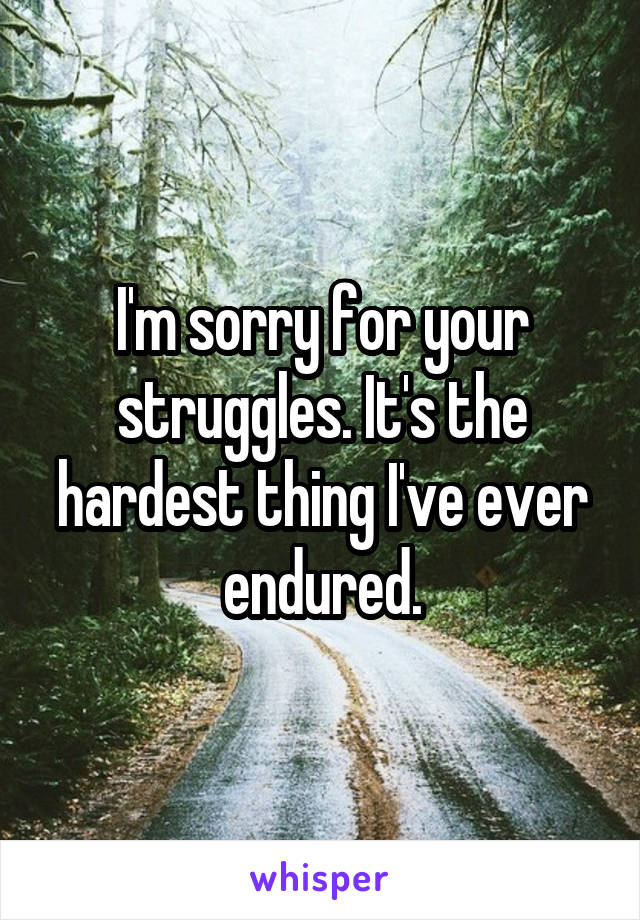 I'm sorry for your struggles. It's the hardest thing I've ever endured.