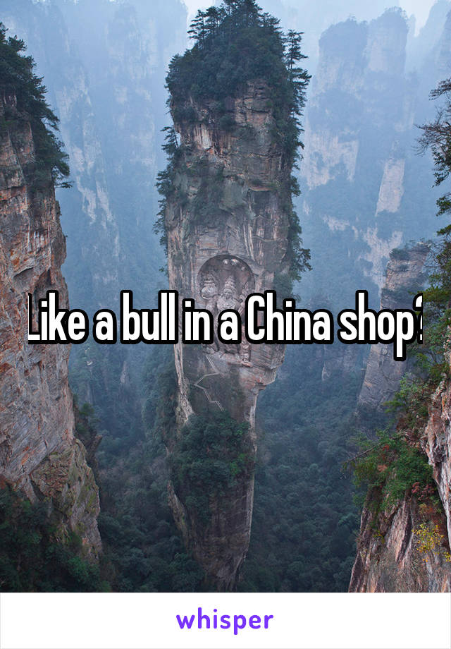 Like a bull in a China shop?