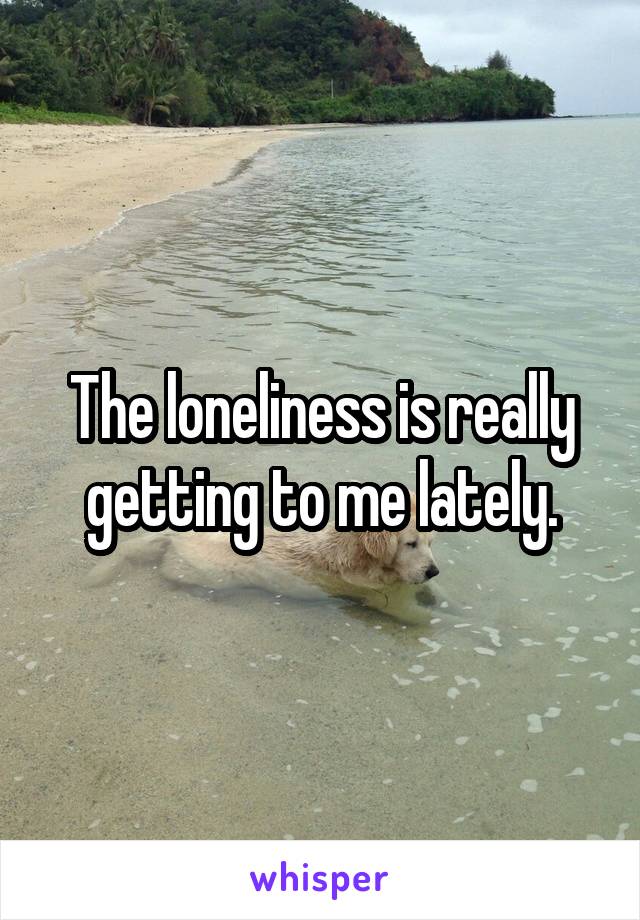 The loneliness is really getting to me lately.