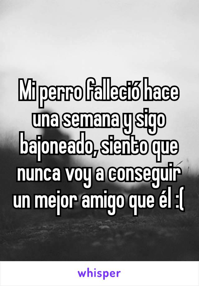 Mi perro falleció hace una semana y sigo bajoneado, siento que nunca voy a conseguir un mejor amigo que él :(