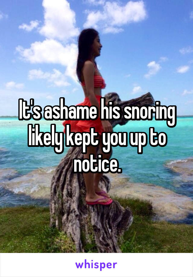 It's ashame his snoring likely kept you up to notice.