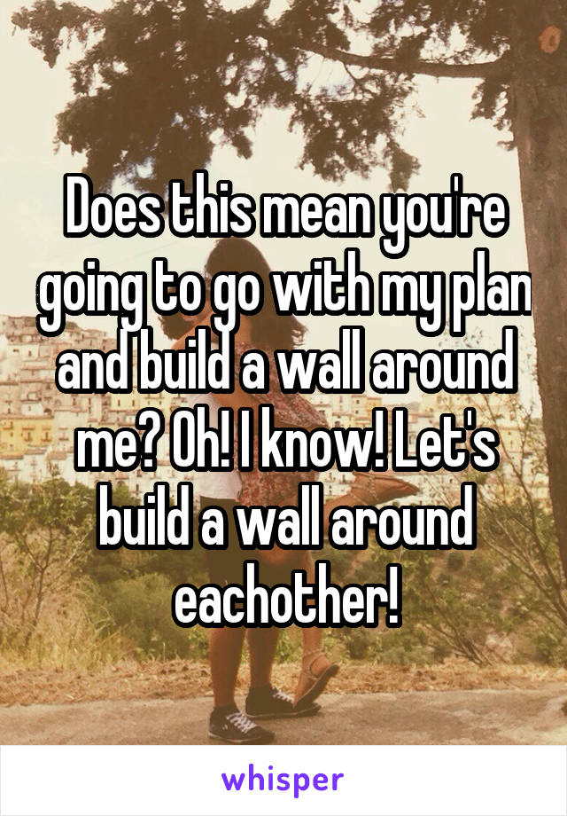 Does this mean you're going to go with my plan and build a wall around me? Oh! I know! Let's build a wall around eachother!