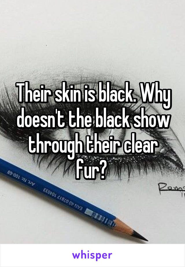 Their skin is black. Why doesn't the black show through their clear fur? 