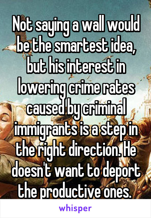 Not saying a wall would be the smartest idea, but his interest in lowering crime rates caused by criminal immigrants is a step in the right direction. He doesn't want to deport the productive ones. 