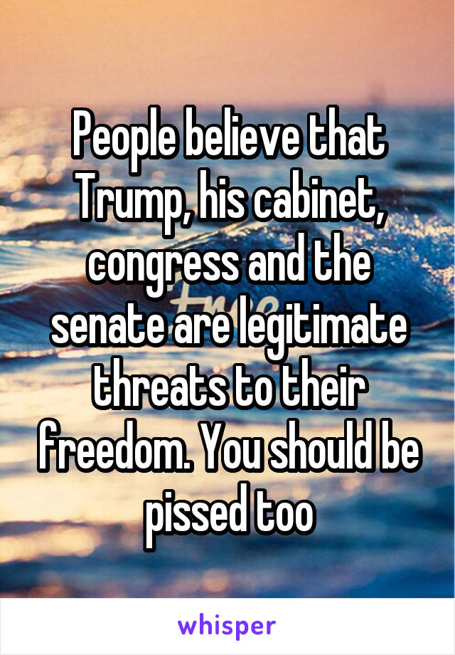 People believe that Trump, his cabinet, congress and the senate are legitimate threats to their freedom. You should be pissed too