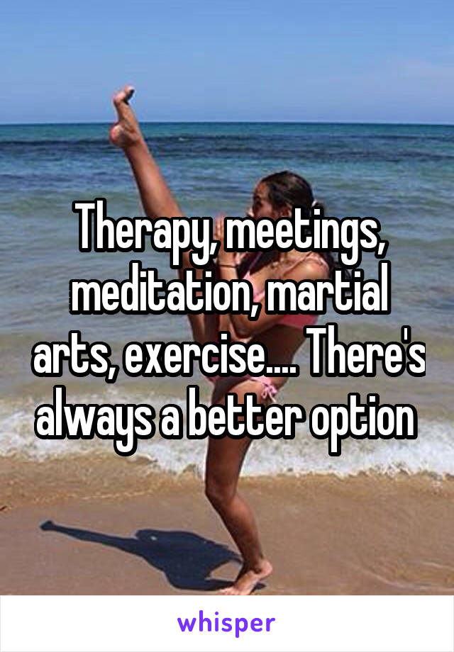 Therapy, meetings, meditation, martial arts, exercise.... There's always a better option 