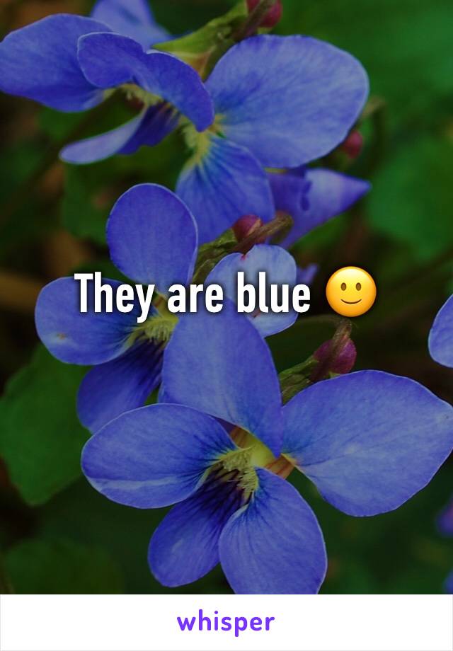 They are blue 🙂