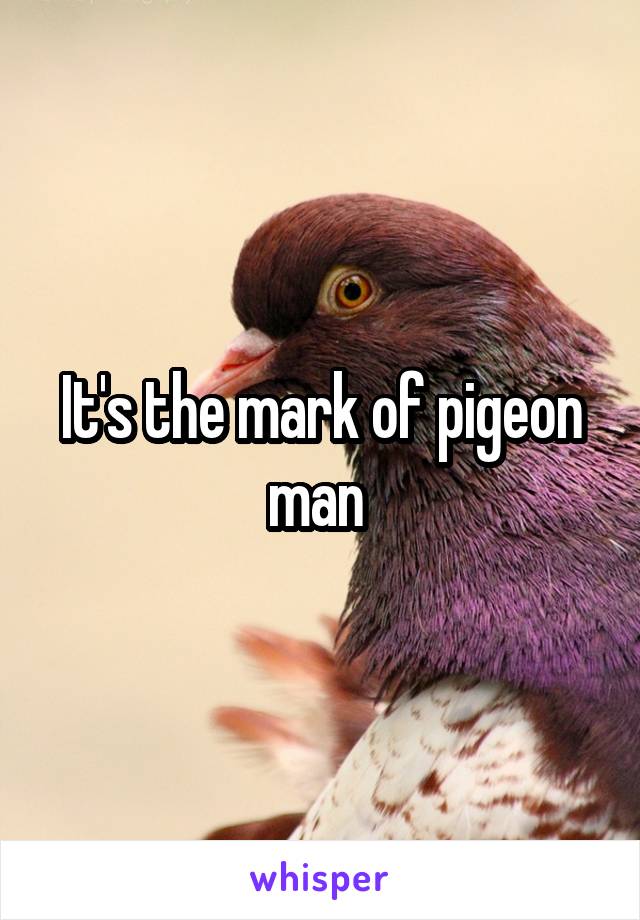 It's the mark of pigeon man 