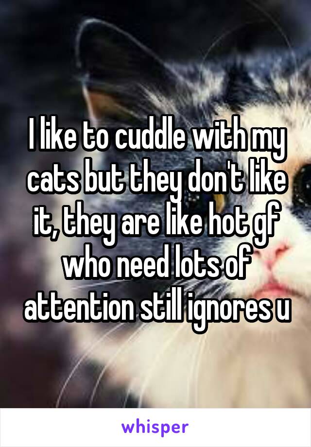 I like to cuddle with my cats but they don't like it, they are like hot gf who need lots of attention still ignores u