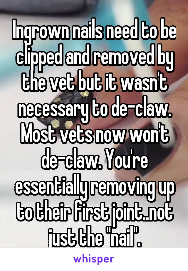 Ingrown nails need to be clipped and removed by the vet but it wasn't necessary to de-claw. Most vets now won't de-claw. You're essentially removing up to their first joint..not just the "nail".