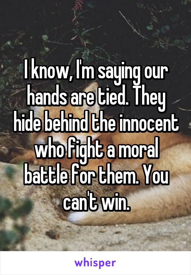 I know, I'm saying our hands are tied. They hide behind the innocent who fight a moral battle for them. You can't win.