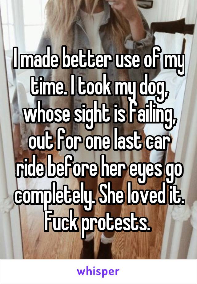 I made better use of my time. I took my dog, whose sight is failing, out for one last car ride before her eyes go completely. She loved it. Fuck protests. 