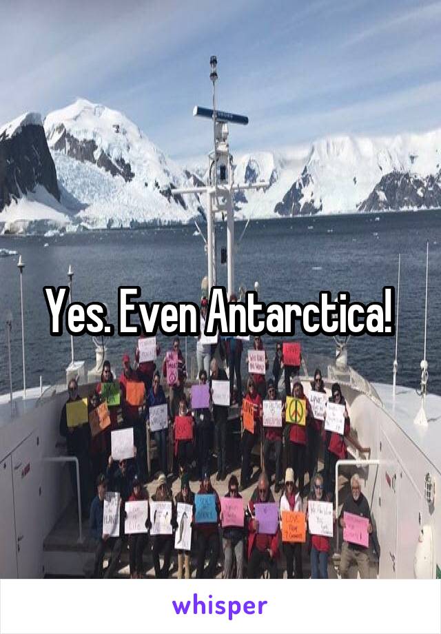 Yes. Even Antarctica! 