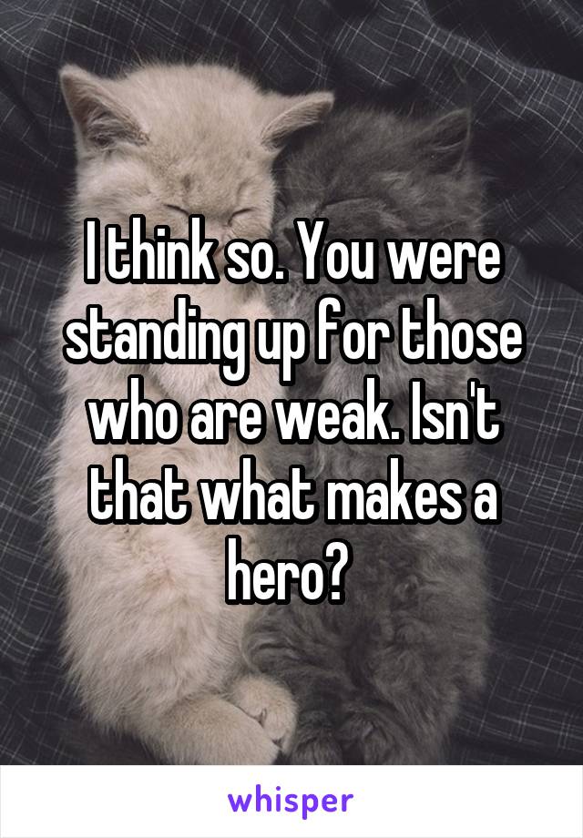 I think so. You were standing up for those who are weak. Isn't that what makes a hero? 