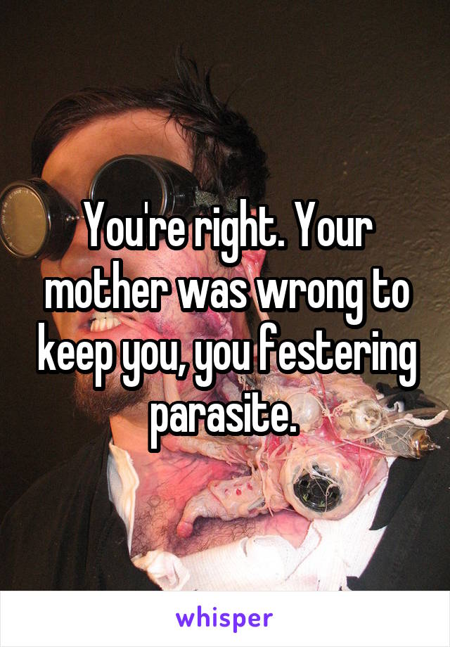 You're right. Your mother was wrong to keep you, you festering parasite. 