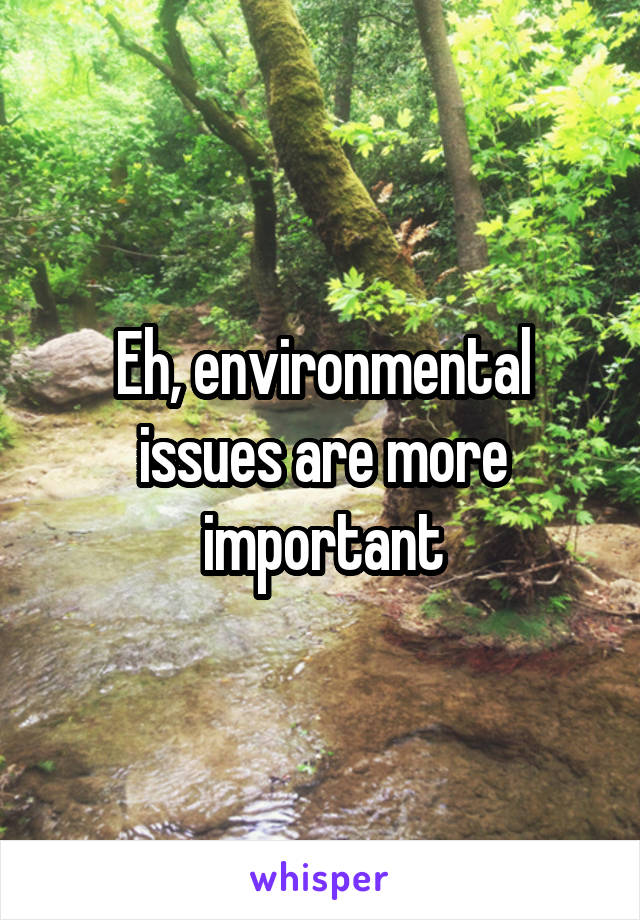 Eh, environmental issues are more important