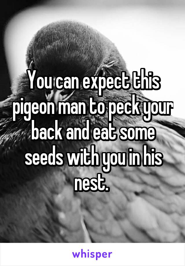 You can expect this pigeon man to peck your back and eat some seeds with you in his nest. 