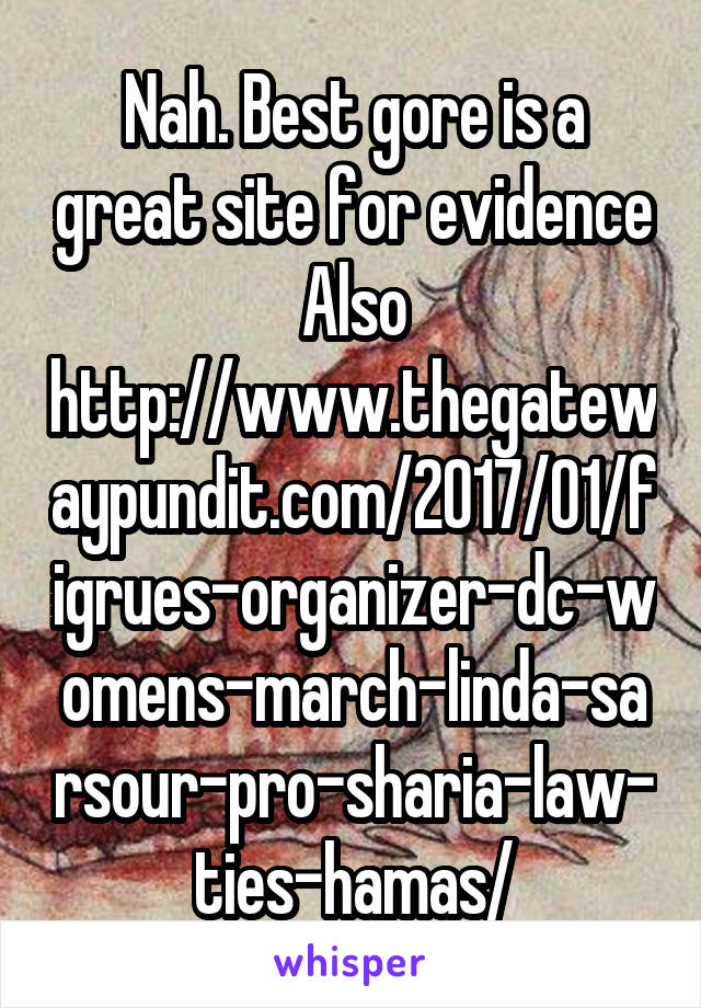 Nah. Best gore is a great site for evidence
Also
http://www.thegatewaypundit.com/2017/01/figrues-organizer-dc-womens-march-linda-sarsour-pro-sharia-law-ties-hamas/