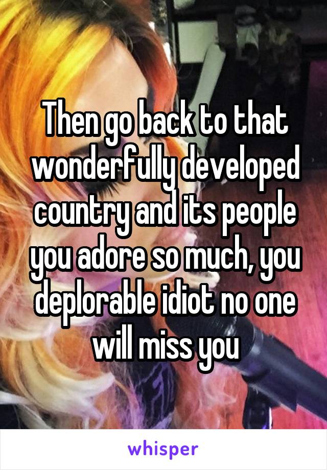 Then go back to that wonderfully developed country and its people you adore so much, you deplorable idiot no one will miss you