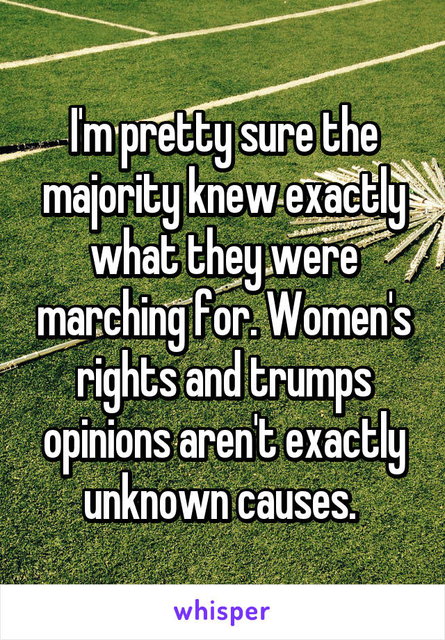 I'm pretty sure the majority knew exactly what they were marching for. Women's rights and trumps opinions aren't exactly unknown causes. 