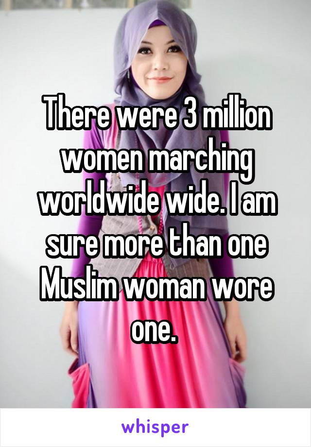 There were 3 million women marching worldwide wide. I am sure more than one Muslim woman wore one. 