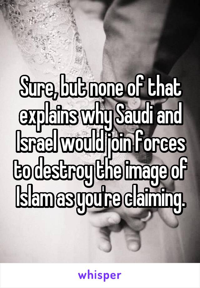 Sure, but none of that explains why Saudi and Israel would join forces to destroy the image of Islam as you're claiming.