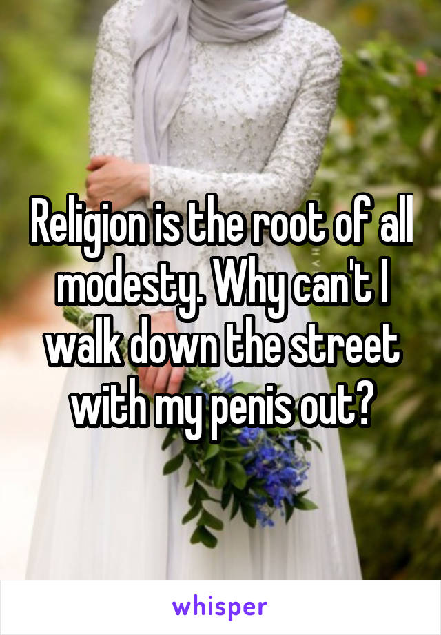 Religion is the root of all modesty. Why can't I walk down the street with my penis out?