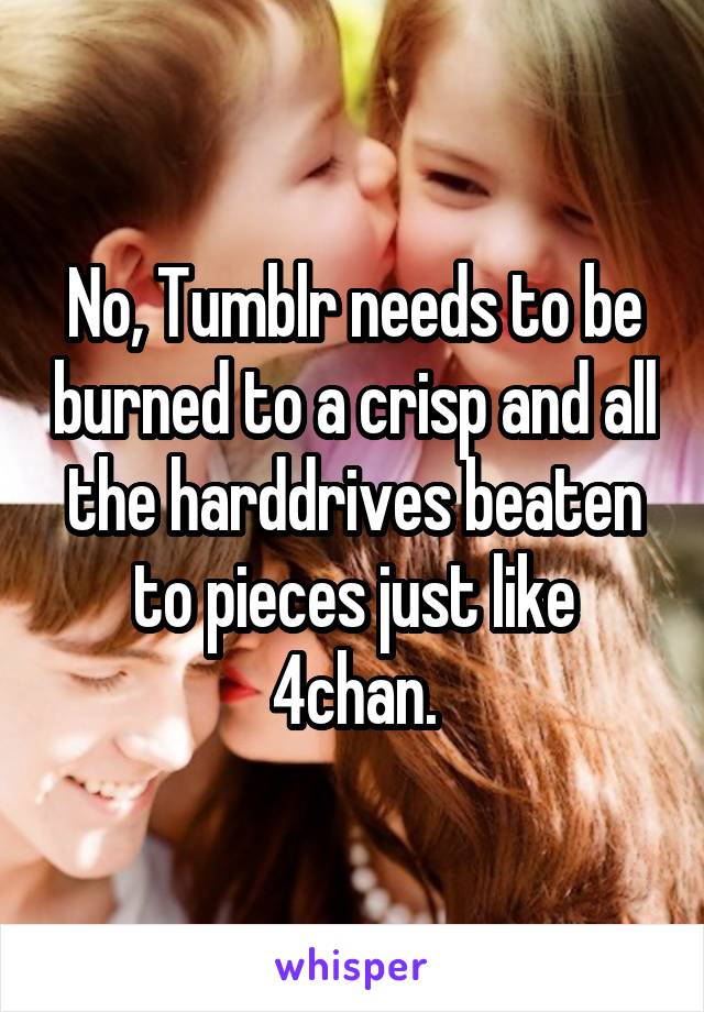 No, Tumblr needs to be burned to a crisp and all the harddrives beaten to pieces just like 4chan.