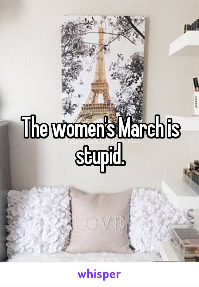 The women's March is stupid.