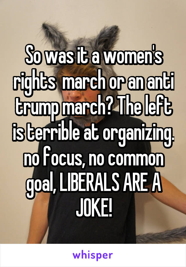 So was it a women's rights  march or an anti trump march? The left is terrible at organizing. no focus, no common goal, LIBERALS ARE A JOKE!