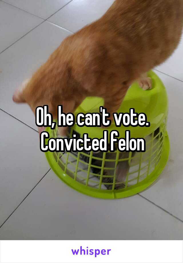 Oh, he can't vote. Convicted felon