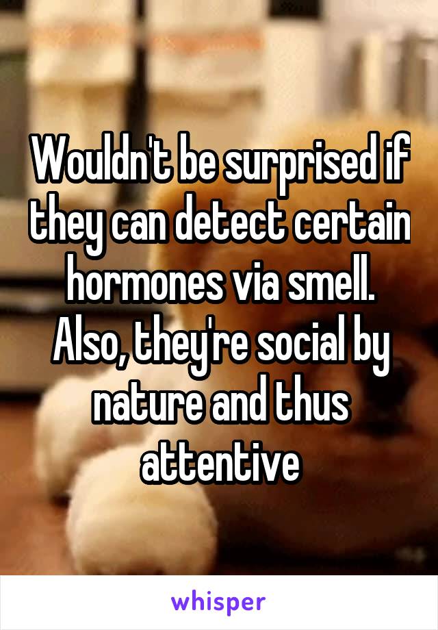 Wouldn't be surprised if they can detect certain hormones via smell. Also, they're social by nature and thus attentive