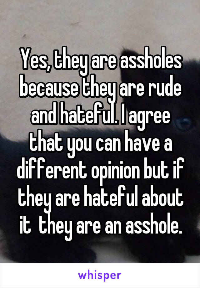 Yes, they are assholes because they are rude and hateful. I agree that you can have a different opinion but if they are hateful about it  they are an asshole.