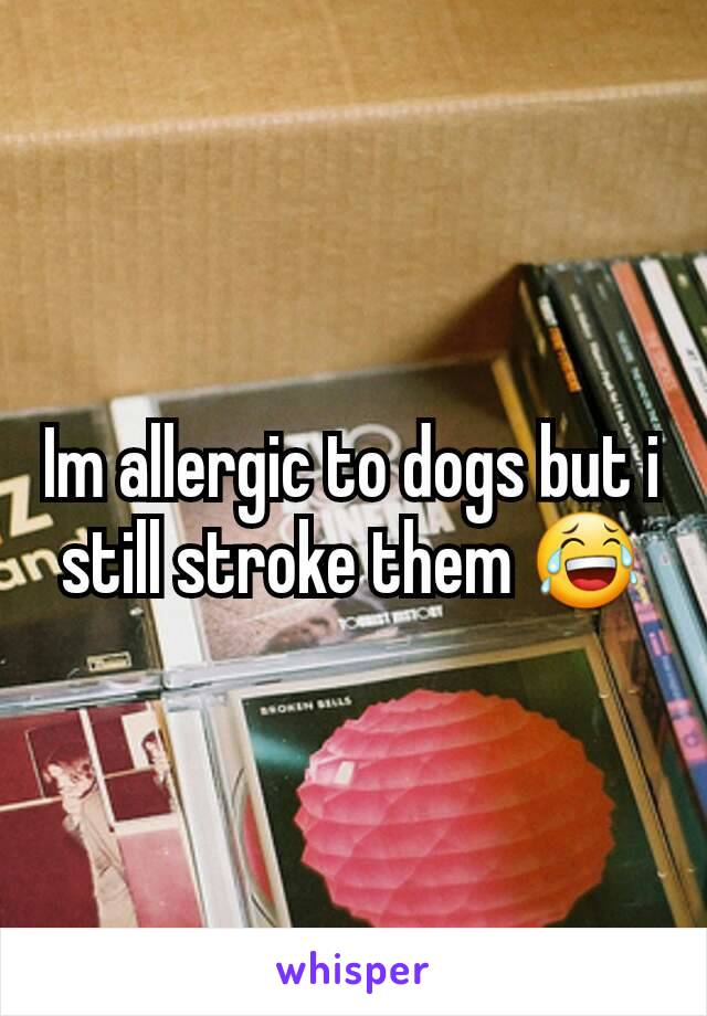 Im allergic to dogs but i still stroke them 😂