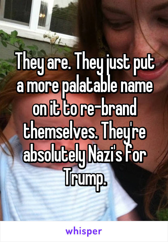 They are. They just put a more palatable name on it to re-brand themselves. They're absolutely Nazi's for Trump.