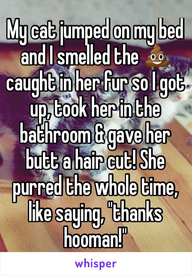 My cat jumped on my bed and I smelled the 💩 caught in her fur so I got up, took her in the bathroom & gave her butt a hair cut! She purred the whole time, like saying, "thanks hooman!"