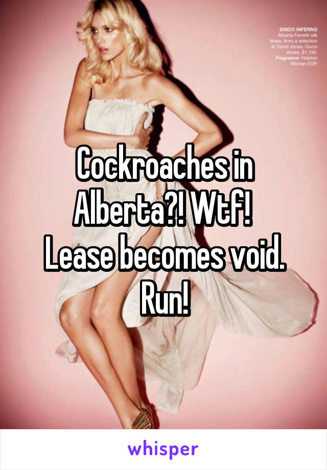 Cockroaches in Alberta?! Wtf! 
Lease becomes void. Run!