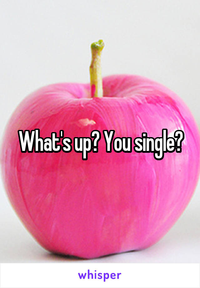 What's up? You single?