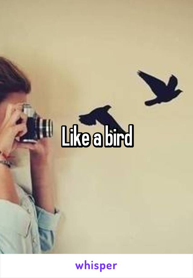 Like a bird