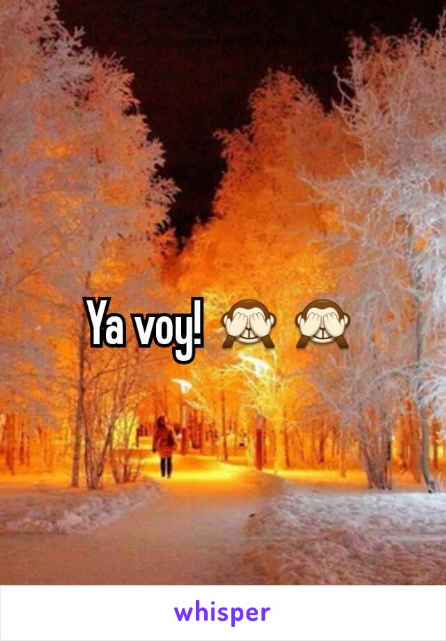 Ya voy! 🙈🙈