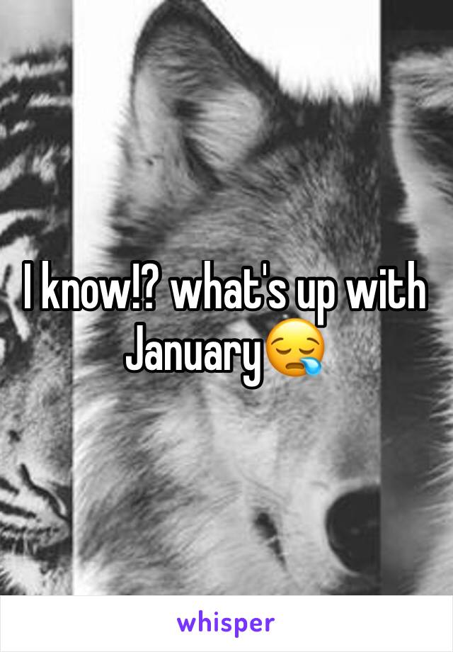 I know!? what's up with January😪