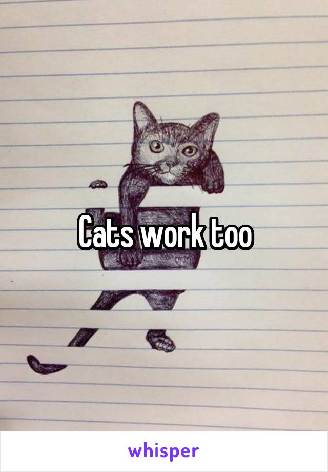 Cats work too