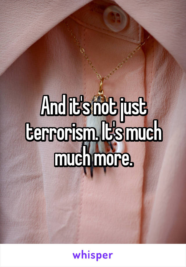 And it's not just terrorism. It's much much more.