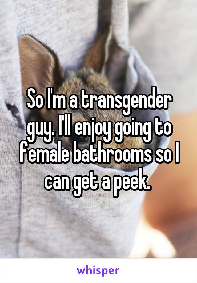 So I'm a transgender guy. I'll enjoy going to female bathrooms so I can get a peek. 