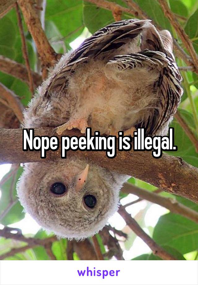 Nope peeking is illegal.