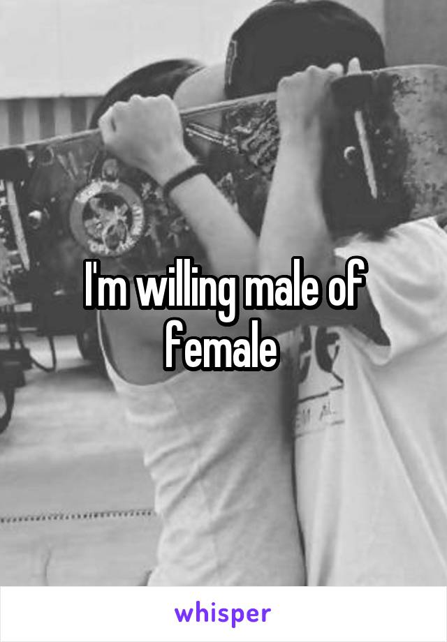 I'm willing male of female 