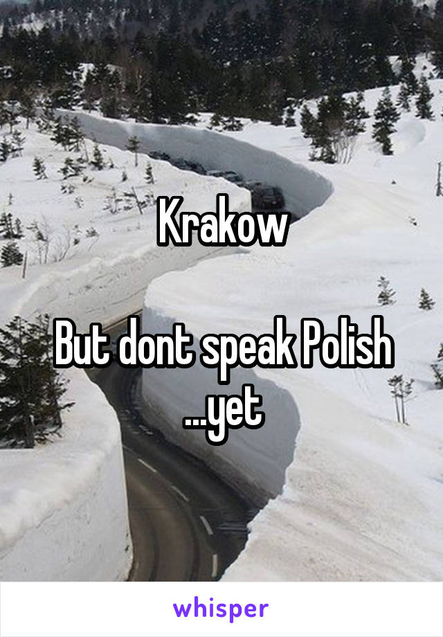 Krakow

But dont speak Polish
...yet