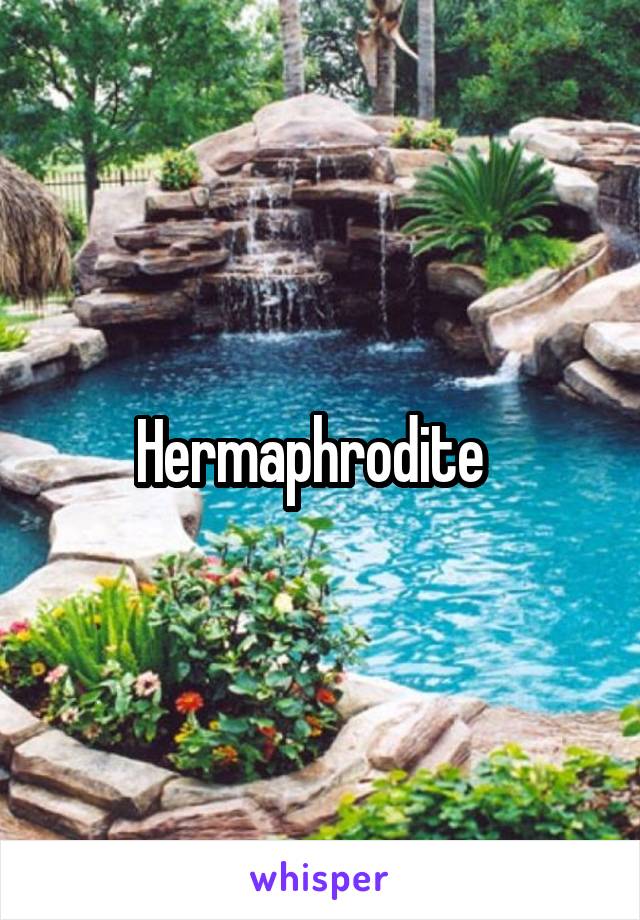 Hermaphrodite  