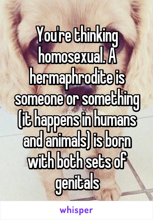 You're thinking homosexual. A hermaphrodite is someone or something (it happens in humans and animals) is born with both sets of genitals