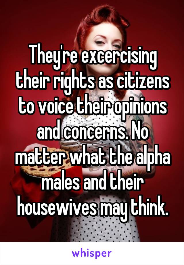 They're excercising their rights as citizens to voice their opinions and concerns. No matter what the alpha males and their housewives may think.